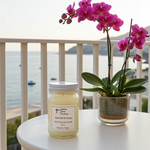 Load image into Gallery viewer, 16 oz Mason jar hand poured Sea Salt & Orchid Candle and potted orchid on a table with a scenic background. Southern Charm Farmhouse.