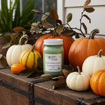 Load image into Gallery viewer, 16 oz mason jar hand poured Candle with a label saying Cedar &amp; Autumn Leaves surrounded by pumpkins and leaves on a wooden surface.  Southern Charm Farmhouse.
