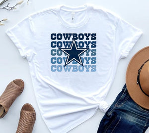 Cowboy with Star Shirt