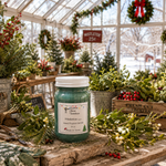 Load image into Gallery viewer, A green hand-poured candle in a clear glass jar with a white lid sits on a rustic wooden table inside a decorated greenhouse. The label reads ''Mistletoe". Southern Charm Farmhouse.

